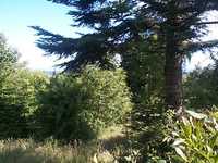  05_outside.jpg 