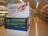  07_lobster.jpg 