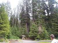  15_hike_start.jpg 