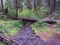  22_stream_with_log_bridge.jpg 