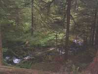  24_very_idyllic.jpg 