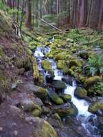  27_mossy_waterfall_rocks.jpg 