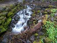  28_worlds_smallest_waterfall.jpg 