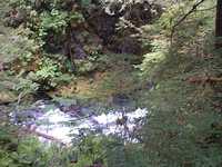  36_yet_more_nature.jpg 