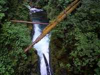  41_huge_waterfall_from_above.jpg 