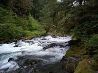 43_rapids.jpg 