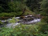  45_rapids.jpg 