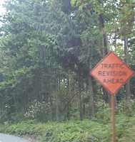  18_that_can't_be_a_real_road_sign.jpg 