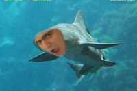  sharkboy.jpg 