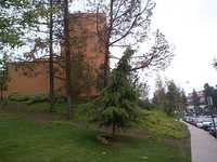  ucla-international-building.jpg 