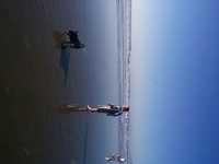  0204-beach-001.jpg 