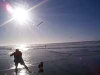 0204-beach-005.jpg 