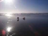  0204-beach-006.jpg 