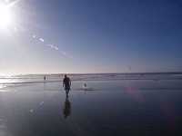  0204-beach-007.jpg 