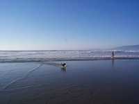  0204-beach-009.jpg 