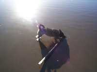  0204-beach-010.jpg 
