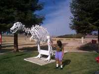  5-dinosaur-flower.jpg 