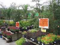  09-home-depot-nature-photography.jpg 