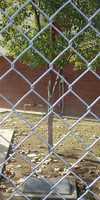  52-arvin-gil-tree.jpg 