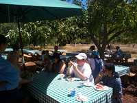  picnic-01-table.jpg 