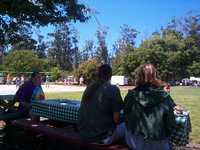  picnic-02-thom.jpg 