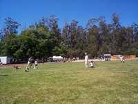  picnic-07-soccer.jpg 