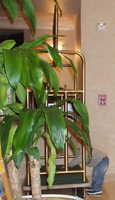  05-atticus-in-hotel.jpg 