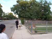  05-walking-gretel.jpg 