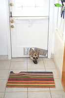  10-gretel-wants-in.jpg 