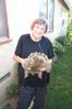 tortoise
