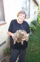  01-mom-holding-tortoise.jpg 