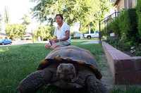  09-tortoise-departs-from-sumana.jpg 