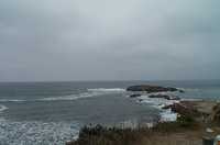 02-island.jpg 