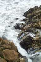  11-surf-closeup.jpg 
