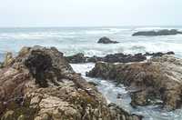  13-tide-pool.jpg 