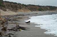  17-still-more-beach.jpg 