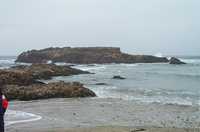  21-island.jpg 