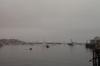 whale-watch