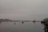  01-harbor.jpg 