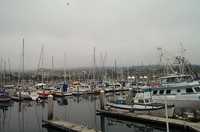  02-harbor.jpg 