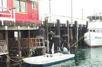 12-pelican-on-boat.jpg 