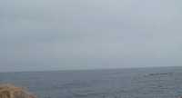  27-blue.jpg 
