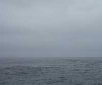  45-humpback-back.jpg 