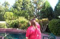  03-pool.jpg 