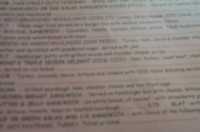  21-illegible-menu.jpg 