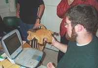  13-the-gnu.jpg 