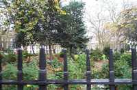  06-Park.jpg 