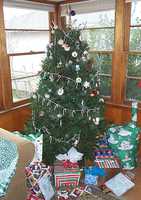  04-tree-1.jpg 