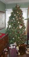  08-tree-2-again.jpg 