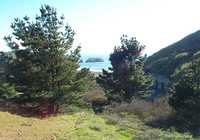  29-nestled-between-trees-and-ocean.jpg 